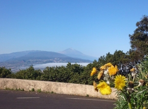 Découvrez  Ténérife et la Region de Puerto de la Cruz