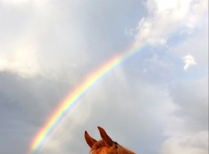 Visiter les montagnes de cordoba a Cheval ! 