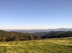  Visiter la région de Coimbra (Portugal)